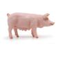PAPO Farmyard Friends Sow Toy Figure, Ten Months and Above, Pink (51188)