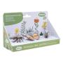 PAPO Wild Life in the Garden Insect Box #2 Toy Figure Set, Three Years and Above, Multi-colour (80009)