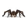 WIZARDING WORLD Aragog Toy Figure, 6 Years and Above, Brown/Black (13987)