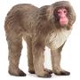 SCHLEICH Wild Life Japanese Macaque Toy Figure, 3 to 8 Years, Brown (14871)