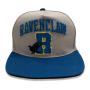 WIZARDING WORLD Harry Potter College Ravenclaw Snapback Baseball Cap, Grey/Blue (HAR01604SBCOS)