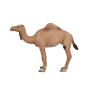 MOJO Wildlife & Woodland Arabian Camel Toy Figure, Brown (387113)