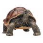 MOJO Wildlife & Woodland Giant Tortoise Toy Figure, Brown/Green (387259)